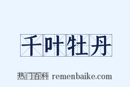 千叶牡丹是什么意思的图片